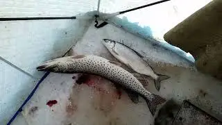 рыбалка на амуре 01.01.24.