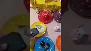 Загадайте чашечку и узнаете, что вас ждёт 30.12.23.