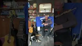 Milo says Happy April.   Tune by his request, Donald, Willie, and his dog