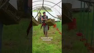 👨🏻‍🌾☀️More Efficient Moves For Your Farm - Part 2