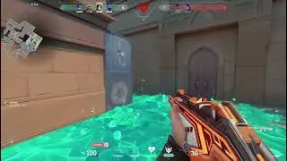 VALORANT But You've Mastered All 24 Agents