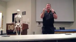 Lower Limb Muscles by Dr. Preddy (2016)