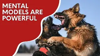 Mental models are powerful | Real World Examples