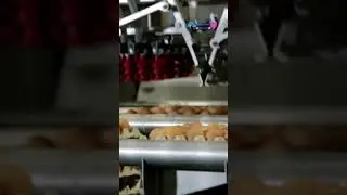 AMAZING LATEST EGG MACHINE