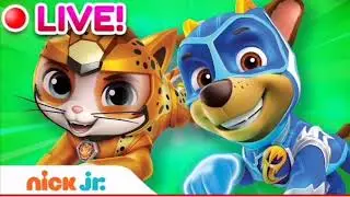 Nick Jr.: Here Kitty kitty