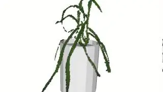A volumetric plant reconstruction from a robotic greenhouse