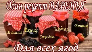Бабушкин рецепт ВАРЕНЬЯ на весь сезон, для любых ягод, не нужен никакой ПЕКТИН.