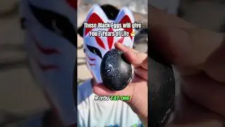 Things that EXIST ONLY in Japan