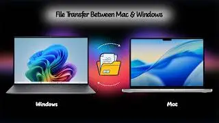 The Fastest Way to Transfer Files Between Mac & Windows 5Gbps | No Wi-Fi, No Internet (2026)
