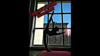 Бросаю гимнастический ВЫЗОВ-ПРИНЯТ!!!