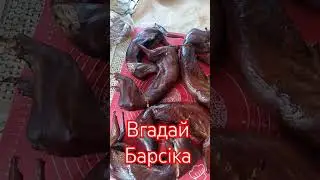 Вгадай барсіка - копчення в домашніх умовах - своїми рука