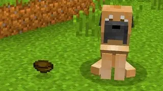 NOWE PSY W MINECRAFT?!