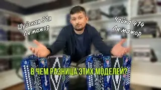 Шуйская гармонь 51я или Чайка 314? Что бы выбрал ты? Все нюансы и отличия моделей