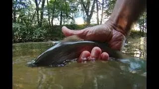 Pesca a Mosca en Anglès