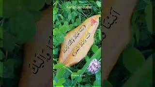 Ey Rabbimiz! Ancak Sana dayandık. 