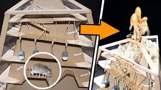 MAJOR HAMSTER vs VOLCANO EXPLOSION