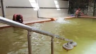 BAĞİN KAPLICASI