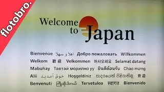 IAN GOES TO JAPAN - Asia Travel Vlog