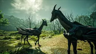 Hogwarts Legacy - Thestral Den Locations