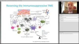 Head and Neck Cancer Immunotherapy: Progress in Treatment, with Ezra Cohen