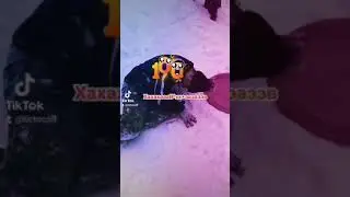 Смех до слёз на 23 февраля 🤣🤣🤣