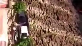 تظاهرات اعتراض امیز گوسفندان بمناسبت  عید قربان