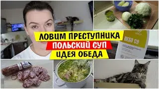 Ловим ПРЕСТУПНИКА / Польский СУП / Идея ОБЕДА / Семейный влог / Vika Siberia LifeVlog