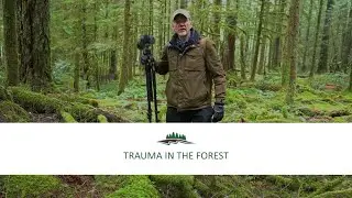 Trauma in the Forest