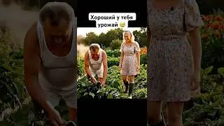 Михалыч и урожай: деревенские будни с юмором. 