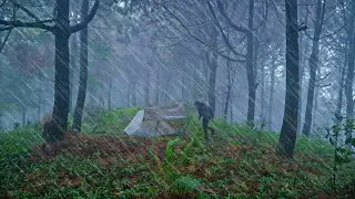 Solo Camping In Heavy Rain Storm, cozy relaxing in tent ASMR