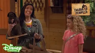🏹 Noi consilieri | Tabăra cu peripeții | Disney Channel România