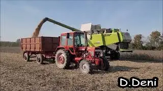 [2024] Szója Aratás *D.Deni*