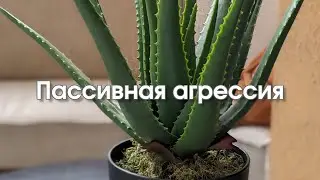 Пассивная агрессия