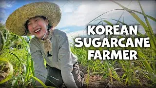 Day in the Life of a Sugarcane Farmer in the Philippines | TRABAHO
