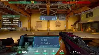 Valorant RADIANT Medium Skills Test DAY 6