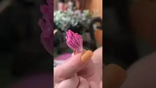 Клевер из ваты. Быстрый способ сделать цветок. Полный МК на канале