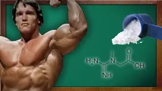 קריאטין - כל מה שרציתם לדעת!