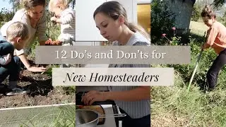 DO These Things When STARTING an URBAN HOMESTEAD on a BUDGET (+ what NOT to do!)