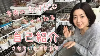 【多肉植物】はじめましての自己紹介！