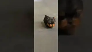 Милаха