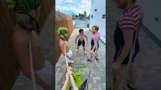 Toddlers On Leashes