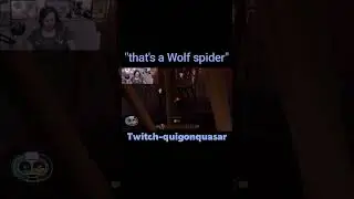 SNEAKING UP ON A WOLF SPIDER IS A BAD IDEA 