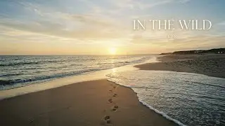 LYN - 'IN THE WILD' (Official audio)