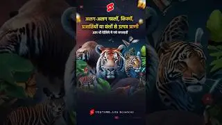 इंसानोद्वारा बनाये गये खतरनाक जानवर⚠️ #trending #amazingfacts #shorts #short #viral #viralvideo