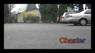 Cwalk -Spaz out