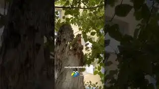 Ханты-Мансийск за 6 секунд