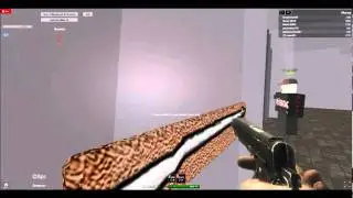 ROBLOX cheats