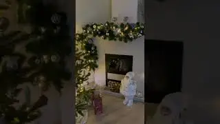 White Santa Claus. A Christmas tree in silver. #shorts #shortvideo