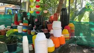 The new look of Mannil plants and pots | @mannilplantsandpots5245 kolmanna