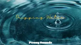 Sounds of Dripping Water ASMR (8 hours) | 숙면을 도와주는 물방울 떨어지는 소리 ASMR (8시간)